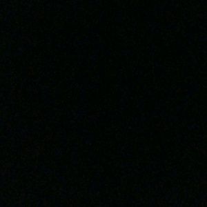 Meet your Posher, Jake